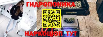 apvp Бузулук