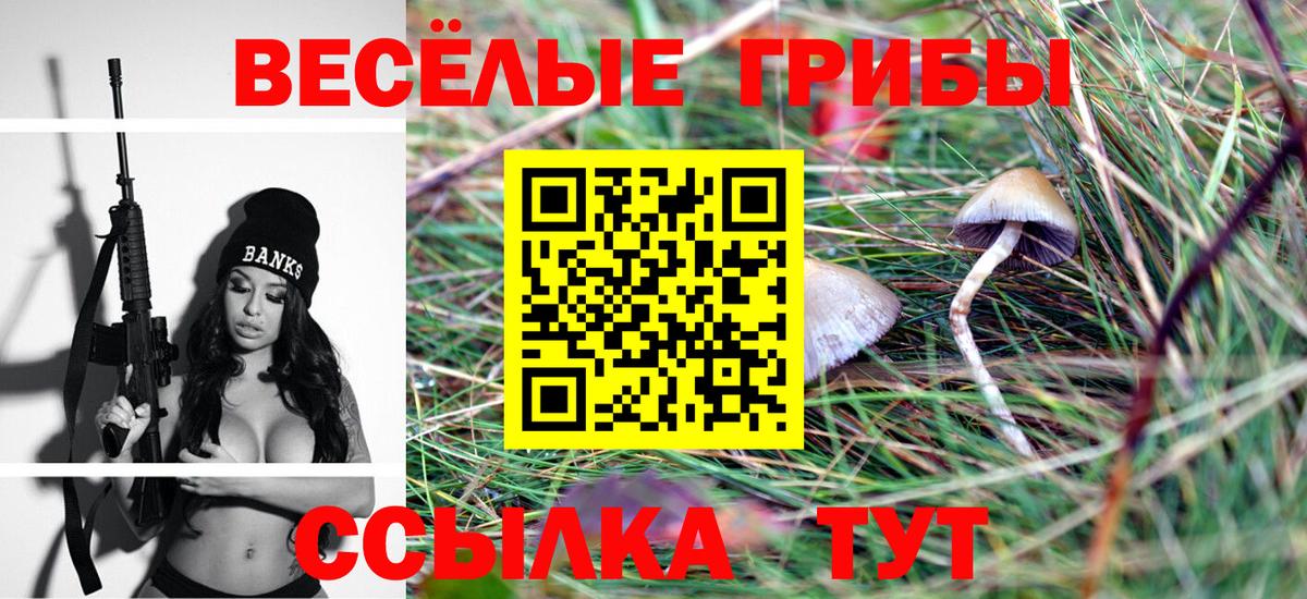 Галлюциногенные грибы GOLDEN TEACHER  Галлюциногенные грибы GOLDEN TEACHER  Вход с VPN  Махачкала 